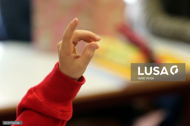 Cerca de 19 mil professores colocados nas escolas no próximo ano letivo