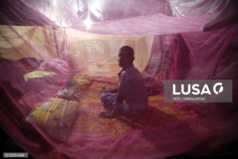 Guiné-Bissau regista aumento de casos de malária