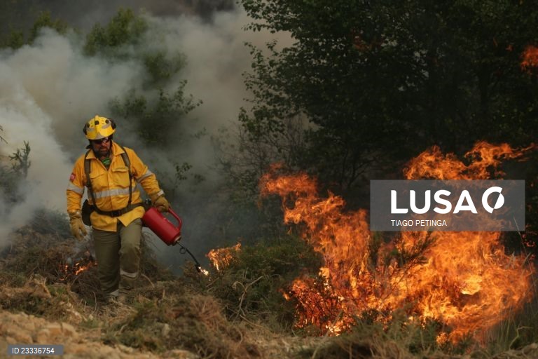 Governo vai pagar entre 300 e 360 euros por hectare queimado por fogo controlado