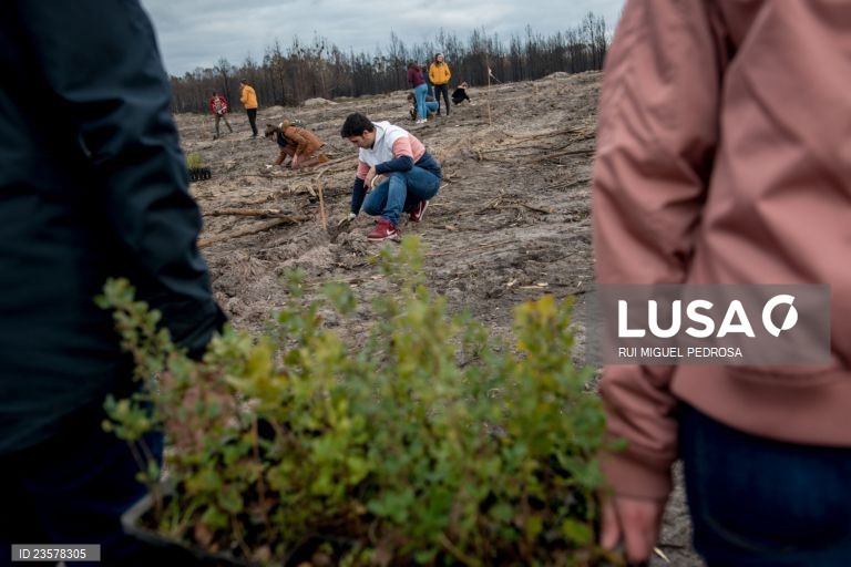 Mais de 7.300 árvores plantadas com iniciativa que promove a compra de livros