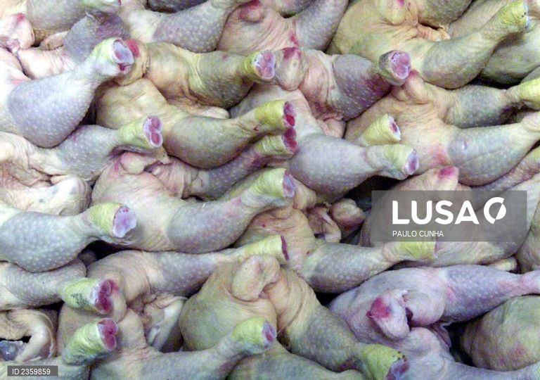 Angola despende 850 mil dólares por dia na importação de frango – governo