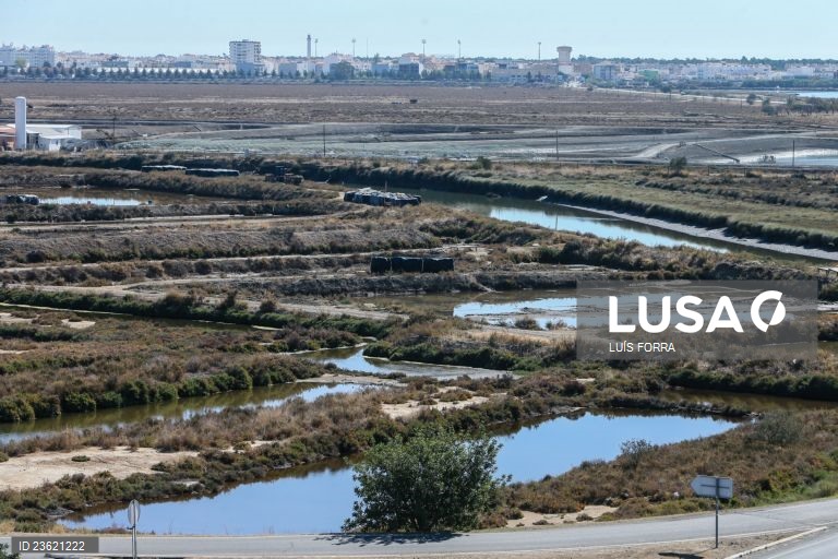 Portugal tem hoje nove reservas naturais após a criação da primeira há 50 anos