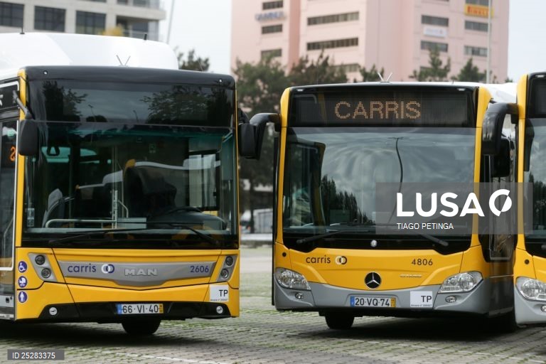 Carris lança campanha para recrutar 250 motoristas e renovar frota em Lisboa