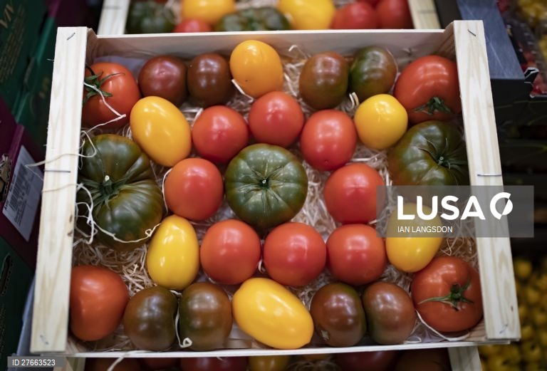 Portugal tem mais de 230 variedades de tomate como o Benfica ou o Celestial