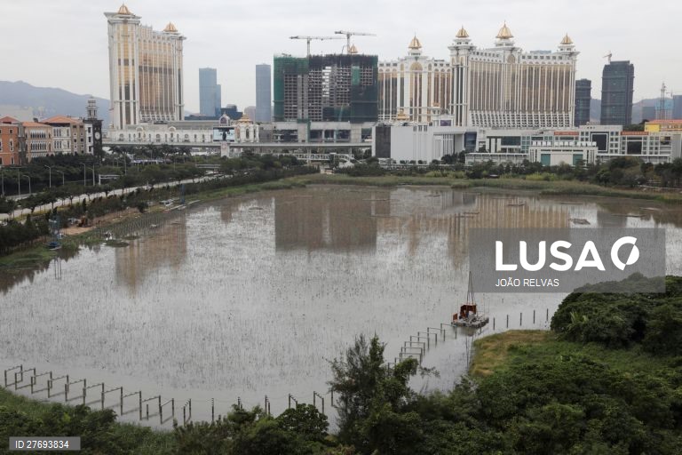Macau deve manter-se aberta ao talento estrangeiro - MNE chinês