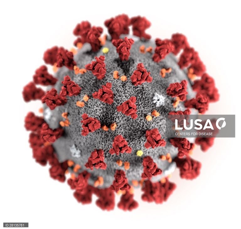 Covid-19: Pandemia causa 395.977 mortos em todo o mundo