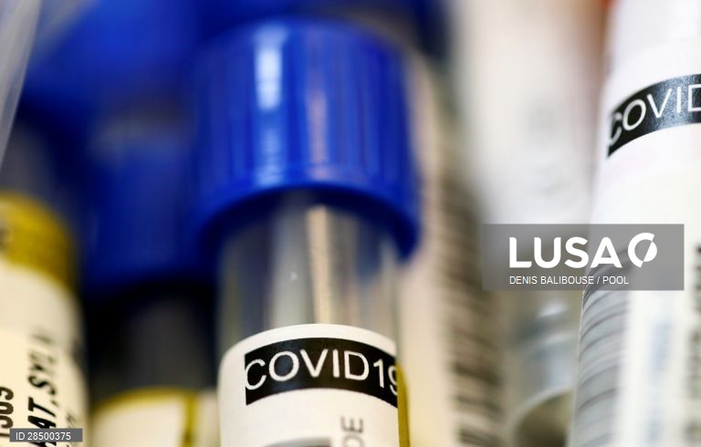 Covid-19: Investigadores portugueses estudam potencial vacina oral