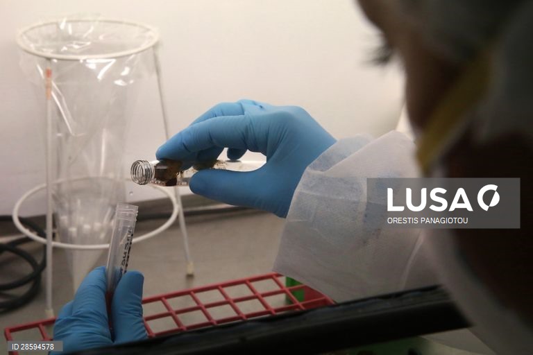 Covid-19: Portugal com 1.330 mortos e 30.788 infetados