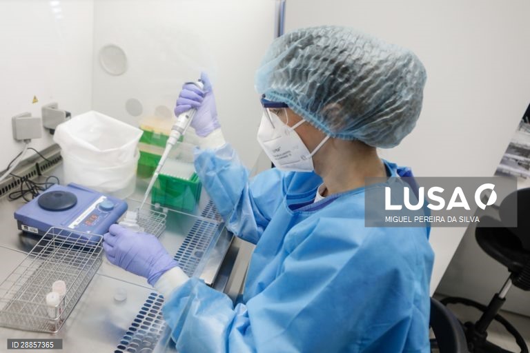 Covid-19: Portugal com 1.447 mortos e 33.261 infetados