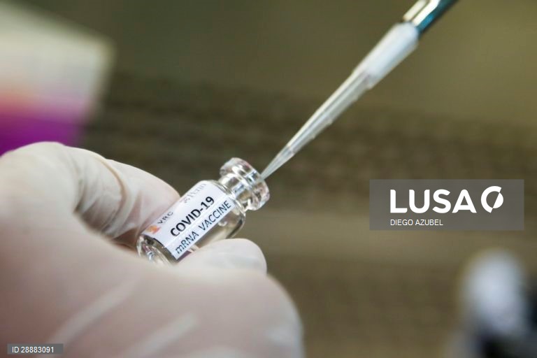 Covid-19: Putin diz que Rússia já registou vacina e que a filha foi inoculada