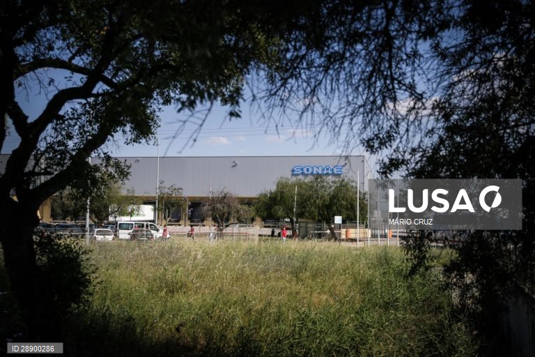 Sonae expande atividade aos países bálticos com aquisição da PetCity pela Musti