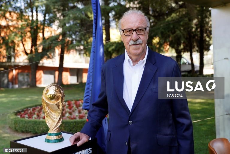 Vicente del Bosque lidera comissão de supervisão à federação espanhola futebol