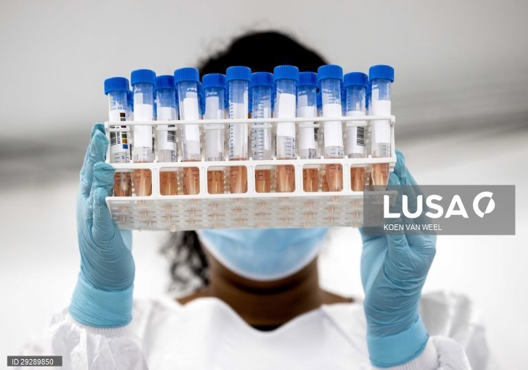 Covid-19: Mais três mortes e 203 novos casos de infeção - DGS