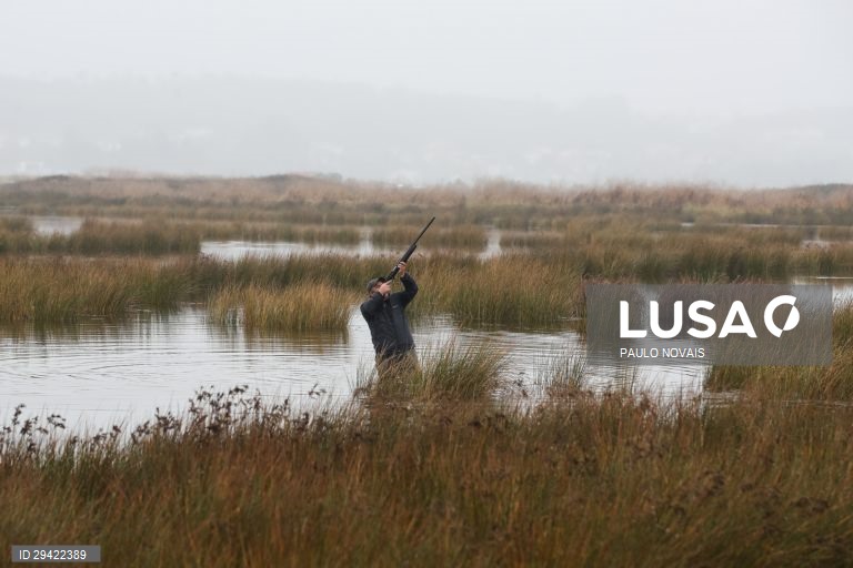 Governo revê regime da caça e simplifica acesso à carta de caçador