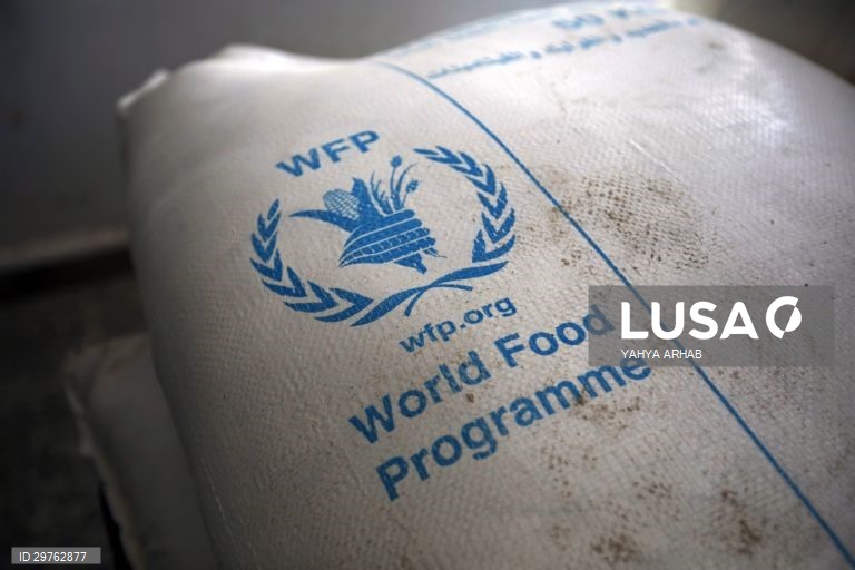 Mozambique: World Food Programme warns of cash shortage to support displaced people