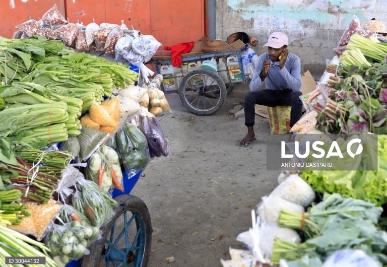 Governo são-tomense pede a UE e Portugal continuidade de apoio às fileiras agrícolas de exportação