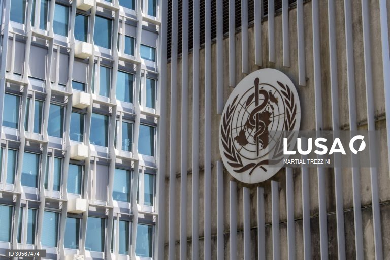 Transmissão do hantavírus só acontece em contacto muito próximo com infetado - OMS