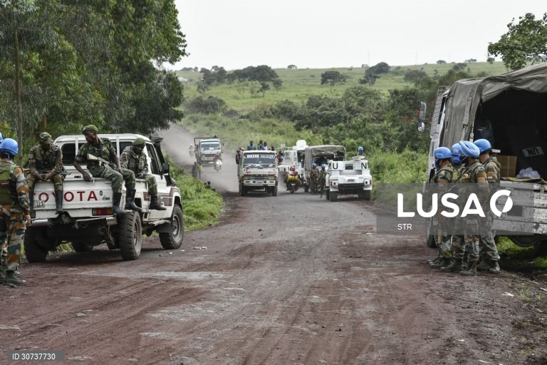 Rebeldes hutus negam ataque em que morreu o embaixador italiano na RDCongo