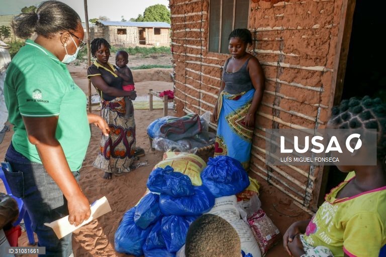 FAO assistiu mais de 1,8 milhões de pessoas em 10 meses em Moçambique