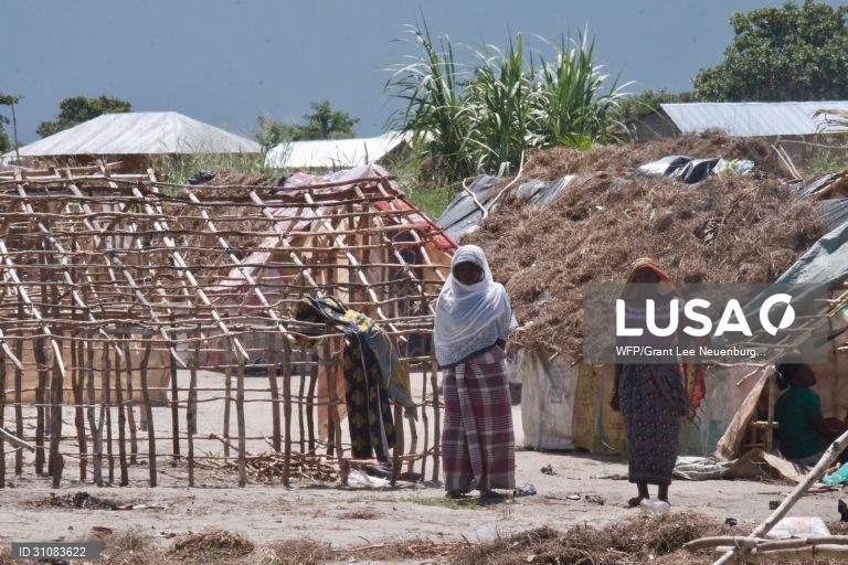 Cerca de 30 mil deslocados no distrito moçambicano de Memba em drama humano devastador - governador