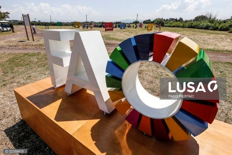 Cultivo da erva-mate no Brasil eleito património agrícola mundial