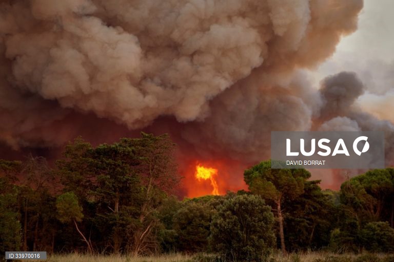 Treze concelhos do interior Norte e Centro e Algarve em perigo máximo de incêndio