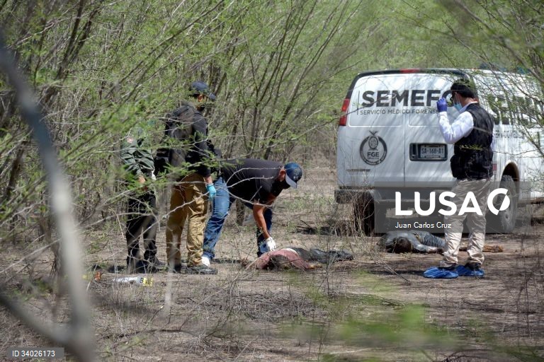 Search of collective for two bodies in northwestern Mexico
