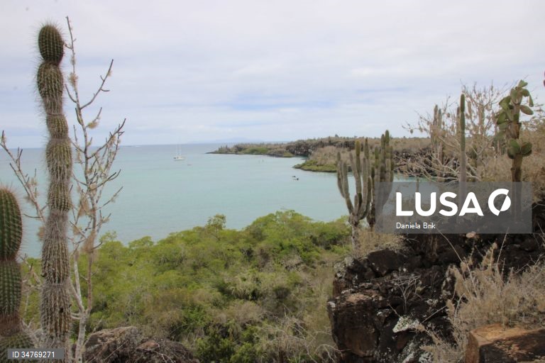 Equador descarta Galápagos para albergar nova base militar dos EUA