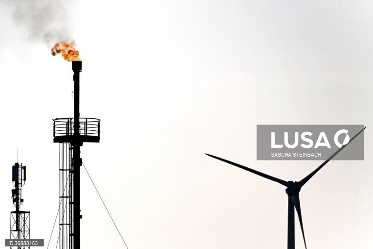 Angolana Etu Energias quer produzir 50 mil barris de petróleo por dia até 2025