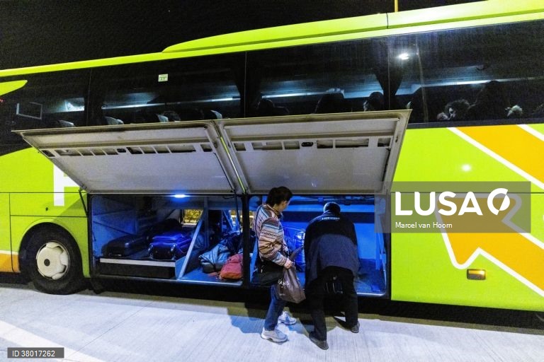 FlixBus anuncia 150 mil viagens a preços reduzidos para ajudar recuperação