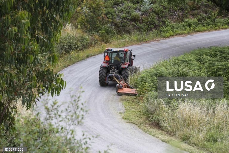 Governo apela aos proprietários para “logo que possível” limparem terrenos