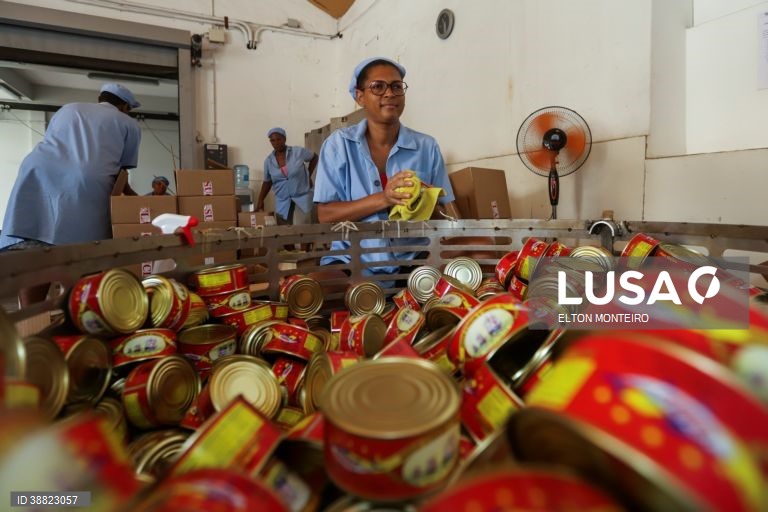 Exportações de Cabo Verde aumentaram 22,2% no segundo trimestre