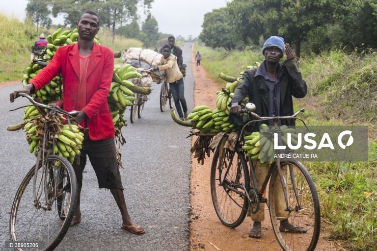 Inflação empurra vendedores de banana moçambicana para as bicicletas