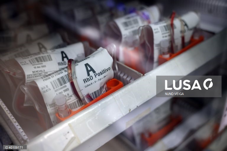 Federação apela à dádiva de sangue em época festiva