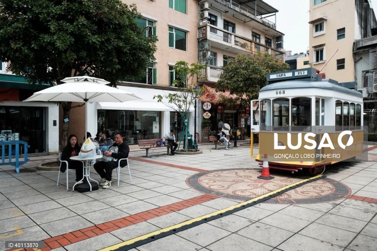 Macau lança alerta para subida dos casos de febre chikungunya