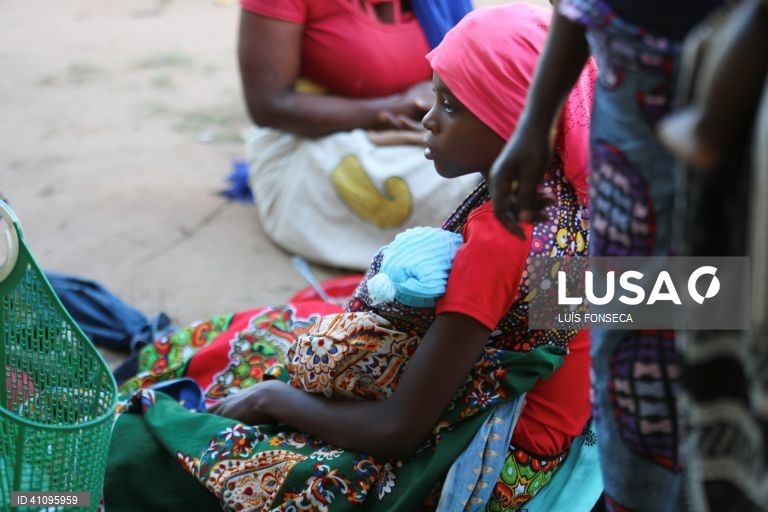 Cerca de 50 mil famílias necessitam de apoio alimentar no centro de Moçambique