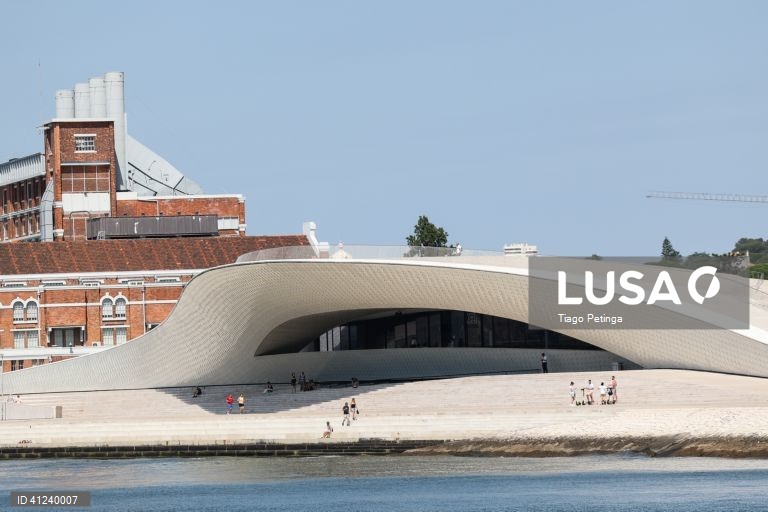 Exposição Turn around revela 25 anos da Coleção de Arte Fundação EDP no MAAT