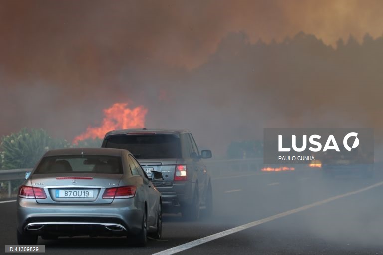 Brisa cria plano com recomendações aos condutores surpreendidos por incêndios