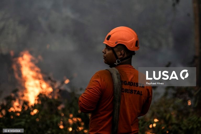 Brasil redobra esforços de combate aos incêndios na Amazónia em plena seca