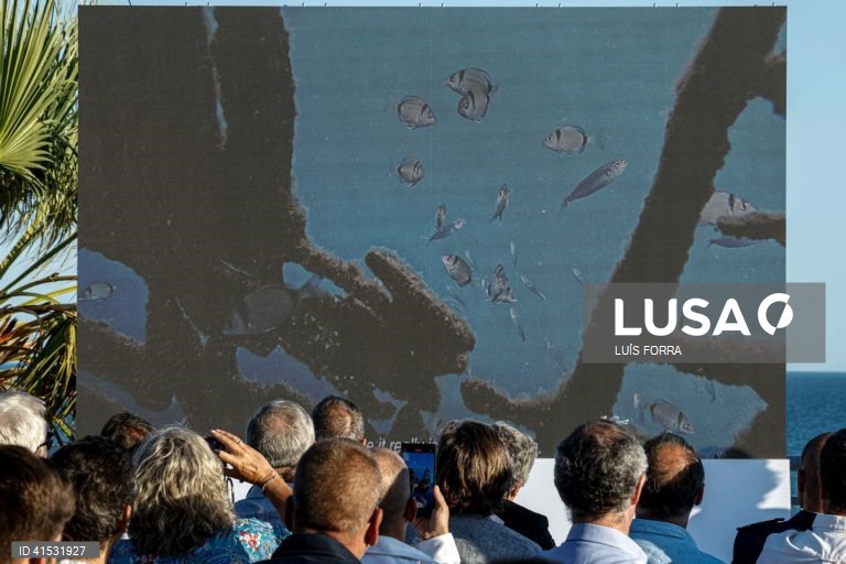 Peças de Vhils submersas no Algarve compõem primeira exposição subaquática em Portugal