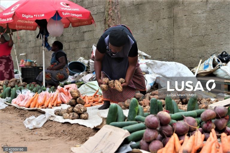 Preços em Moçambique com subida de 0,29% em novembro