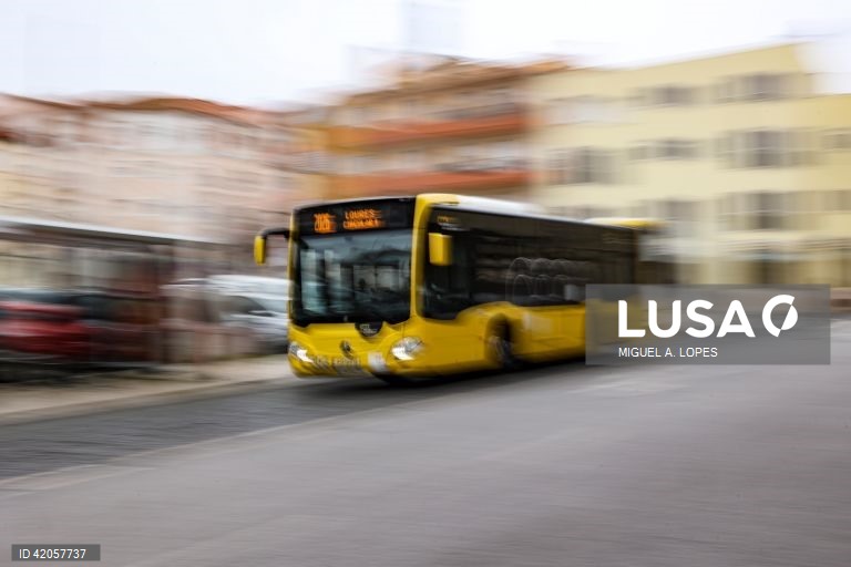 Transporte público não se fomenta com autocarros presos no trânsito - especialista