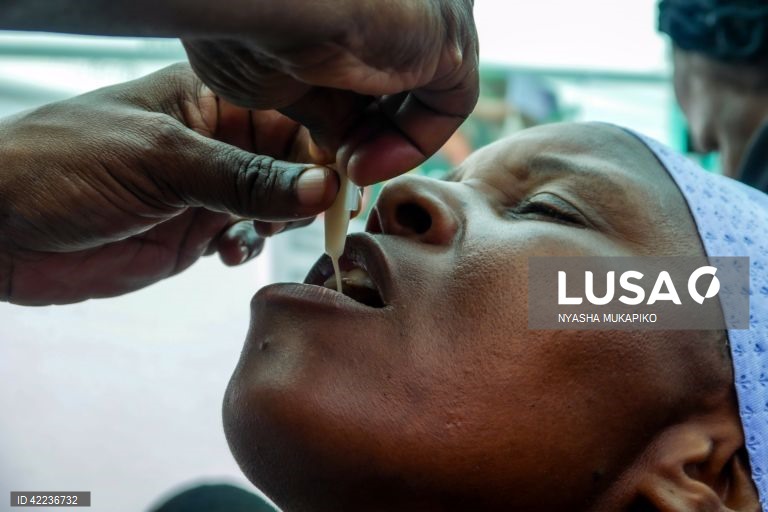 Epidemia de cólera em Moçambique com praticamente 8.000 casos em sete meses