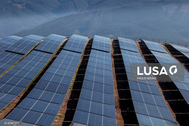Ambientalistas exigem transparência sobre centrais solares na Beira Baixa