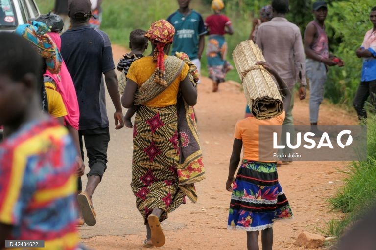 ONG pede responsabilização e proteção de crianças após aumento de violações em Moçambique