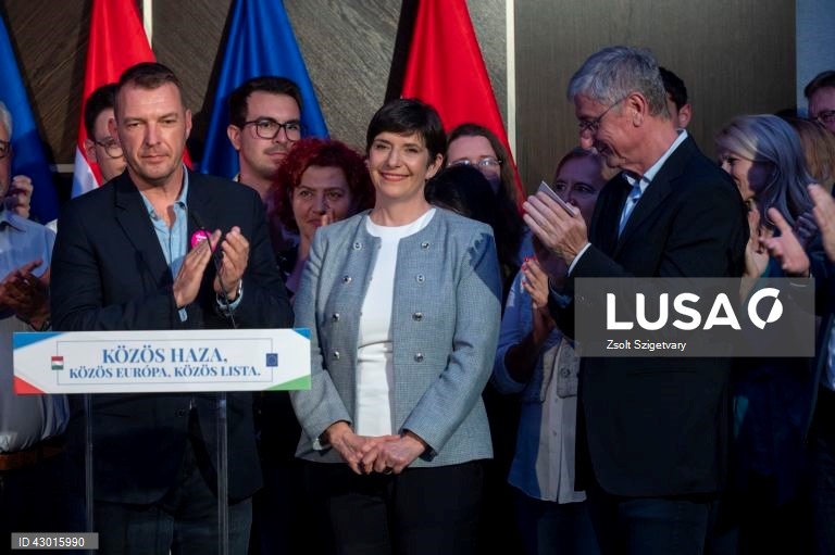 Hungary European Parliament elections