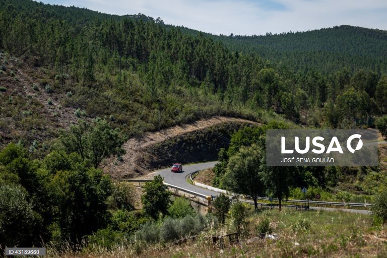 Sete em cada 10 cidadãos querem voltar a discutir a regionalização, revela estudo do Iscte