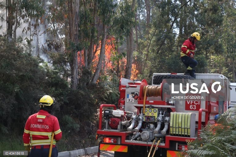 Mais de 40 operacionais e helicóptero da proteção civil combatem fogo na Madeira