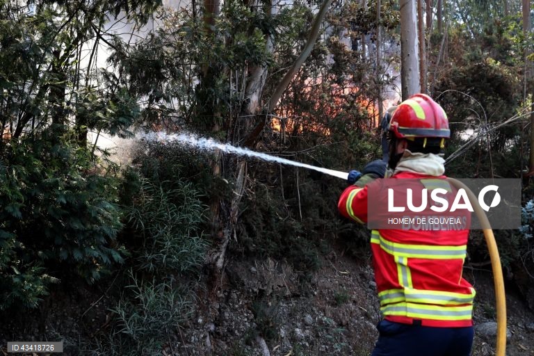 Incêndio rural no norte da Madeira em fase de rescaldo - Proteção Civil