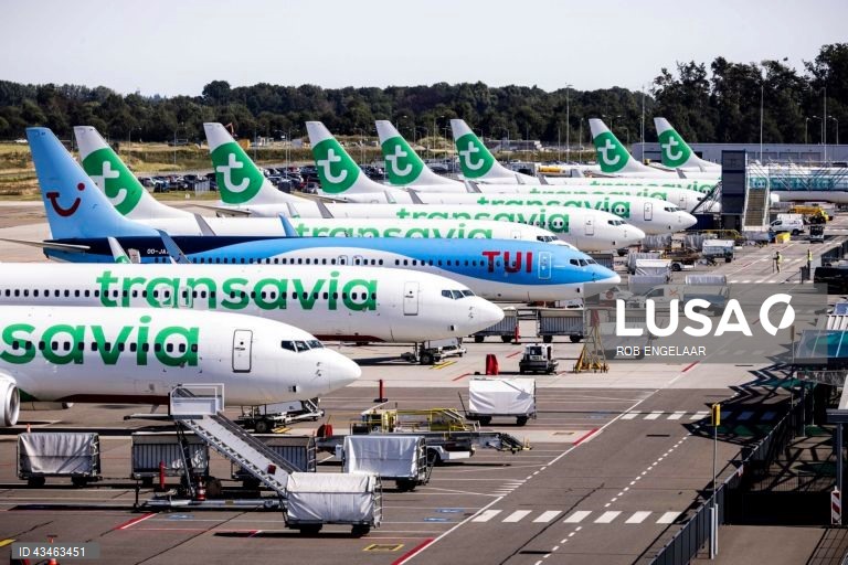 Transavia cancela 50 voos e admite novos ajustamentos devido ao preço do `jet fuel`